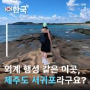 안덕면 사계포구 | 외계행성같은 풍경? 서귀포바다 사계해변 갈색 현무암이 있는 제주사계바다