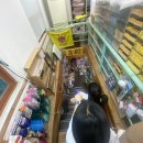 (주) 도혜 이미지