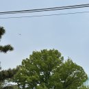 한국피자헛 당산3호점 | 서부자동차운전전문학원에서 학과 교육 듣고 김포운전면허센터에서 필기시험 보고