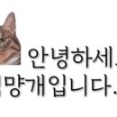 와샌 이미지