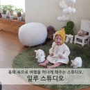 일루스튜디오
