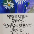 글씨여행 캘리그라피 이미지
