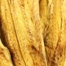 대관령눈마을 영농조합법인 이미지