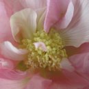 키스 앤 메이크업 이미지