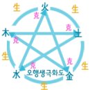 오행생식 - 동구 | 오행생식