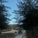 원주굽이길 19코스 기업도시둘레길 | 20251221_원주굽이길9_스무산 둘레길