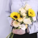 밝은햇살담은