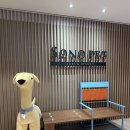 펫컵(pet cup) | 강원도 홍천 소노펫 비발디파크 내돈내산 후기: 강아지랑 함께한 진짜 힐링 리조트 여행