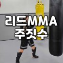 국제체육관복싱무에타이MMA주짓수 | [인천/연수] 여성 다이어트 운동 No.1 리드MMA주짓수