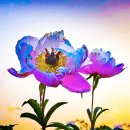 오월의여왕 이미지