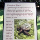 거북 파크 이미지