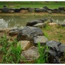 동춘당공원 이미지