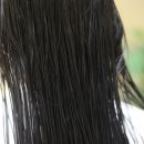 용인대태권나라 이미지