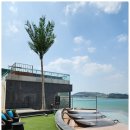 슈가브리움 이미지