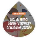 음식 속 세균이 생명을 위협한다? 살모넬라균 감염증!! 이미지