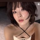 팔레트 티스토리