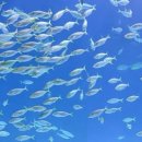 나래영재어린이집 이미지