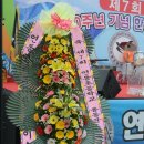 연동초등학교 이미지