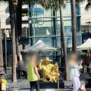 하품민박 | 호주 시드니 5박 7일 여행 1