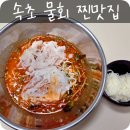 속초 완도회식당 물회 맛집 내돈내산 후기