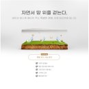 더보스퀘