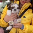 여주-0071 이미지