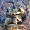 항포낚시터 이미지