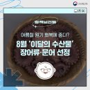 여름철 원기 회복에 좋다?…8월 ‘이달의 수산물’ 장어류·문어 선정