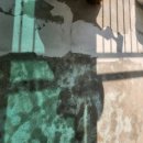 수원-0768 이미지