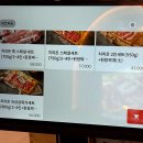 치리돈 이미지