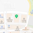 키튼히얼 고양이분양 김포본점 이미지