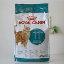 고양이전문점 허니캣 | 노령묘 사료 로얄캐닌 고양이사료 에이징 11+ 내돈내산 솔직 급여 후기