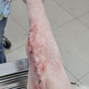 태백동물병원 이미지