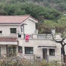 숲카페 이미지