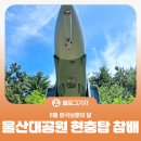 [블로그 기자] 6월 호국보훈의 달 울산대공원 현충탑 참배