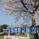 강원대학교 동물생명과학대학 부속목장 네이버블로그