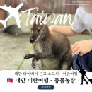 시현농장 | &#34;대만 이란에 이런 곳이?&#34; 카피바라부터 알파카까지! 가족여행 데이트 추천!