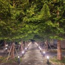 동홍북로 | 제주도 서귀포술집 썸나잇 분위기 좋은 핫플 루프탑 와인바 칵테일 데이트