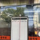 오빠막창 동구점 | 대구 현지인 막창 맛집 효목골 막창 방문후기