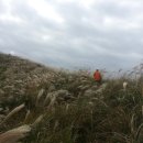 종례농장 이미지