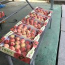 성호농장2 이미지