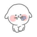 청 애견미용 이미지