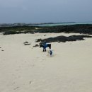 [041616] 제주 여행 DAY2