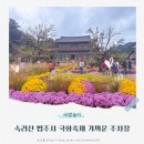 날아라슈퍼 | 속리산 법주사 가까운 주차장과 요금