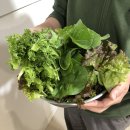 벤틀리카페 이미지