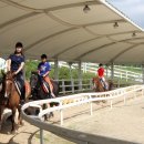 제17회 장수 한우랑 사과랑 축제 이미지