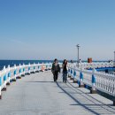 삼사 바다산책로 이미지