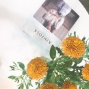 하우어바웃 이미지