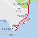 울산여행코스 슬도와 성끝마을 벽화거리 이미지