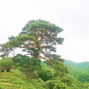 남원지리산 이미지